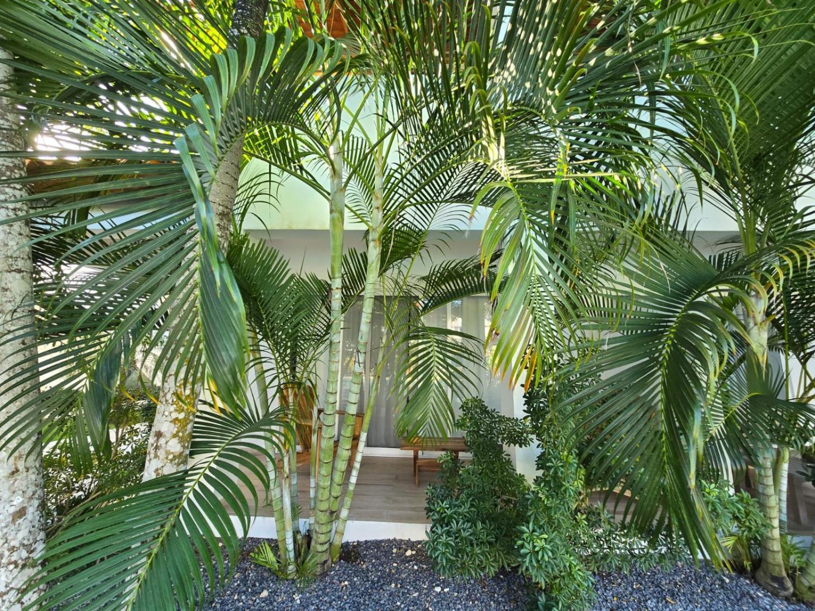 Residencial Paraiso Bayahibe Exterior foto